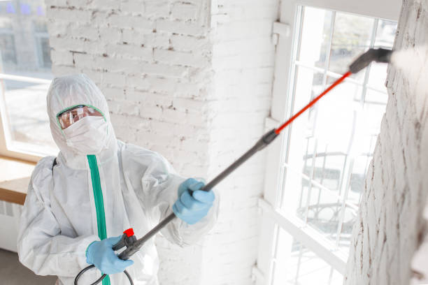 Best Airborne Mold Testing  in Soldotna, AK