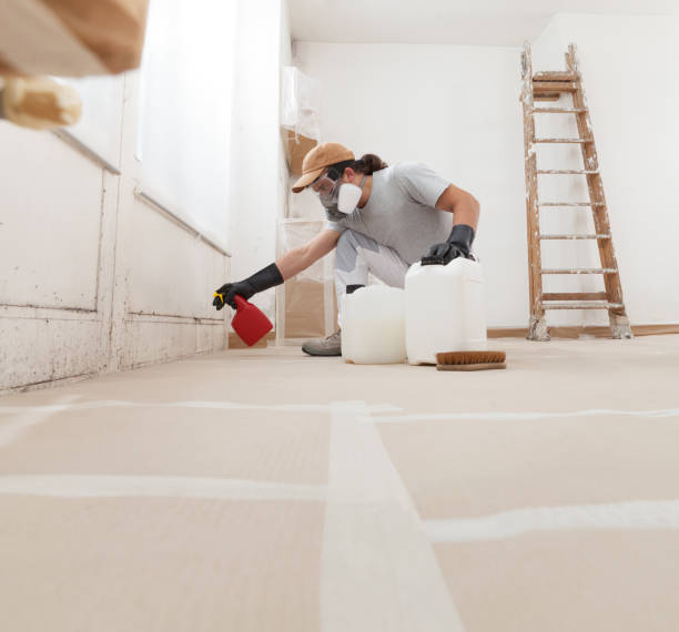 Best Black Mold Removal  in Soldotna, AK