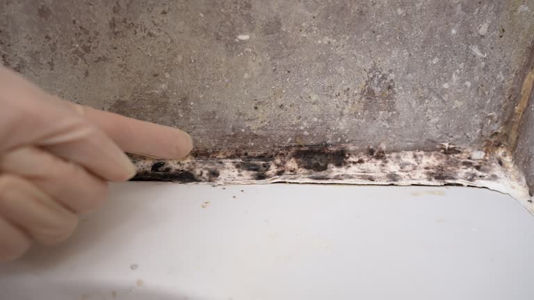 Best Indoor Air Quality Assessment  in Soldotna, AK
